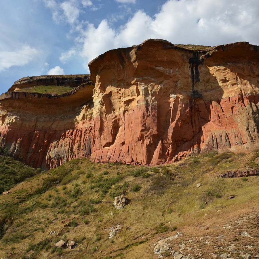 Free State government tenders — live tenders in Free State, South Africa